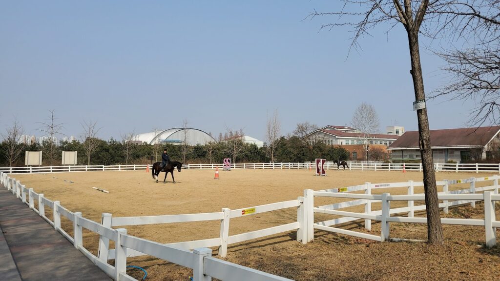 乗馬体験　韓国